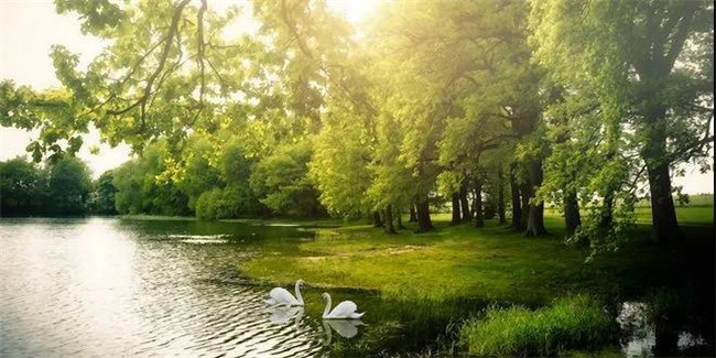 mg冰球突破红瞰花园洋房