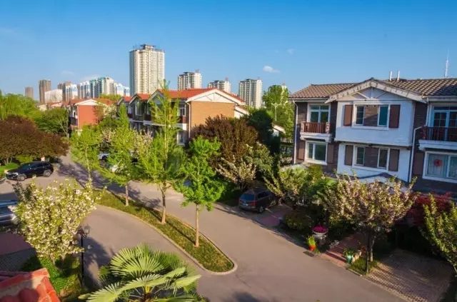 纸杯蛋糕 | 繁花五月，，，唯爱绵绵