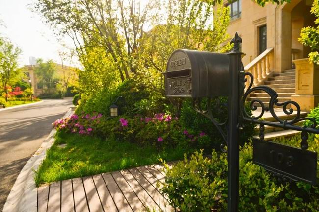 5月的国宝，，，，，，享受初夏的惬意时光